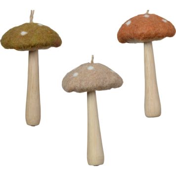 Joulukoriste metsäsieni 11 cm lajitelma