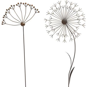 Puutarhakoriste kukka 79 cm lajitelma