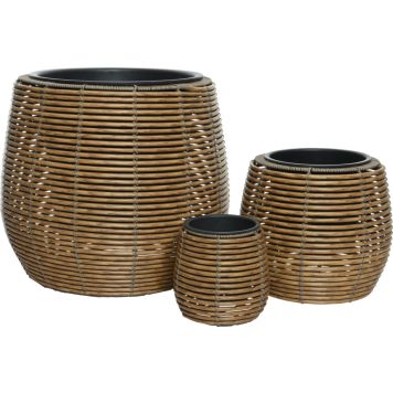 Pajuruukku Jolie 28 cm