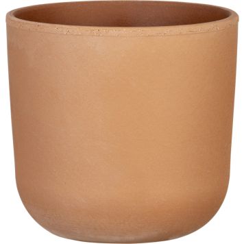 Suojaruukku Rosso terra 18 cm