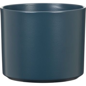 Suojaruukku Monaco sininen 14 cm