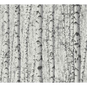 Kuitutapetti A.S. Creation Pintwalls Koivut