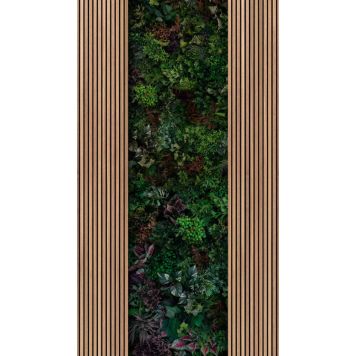 Fototapetti A.S. Creation Stories of Life 39852-1