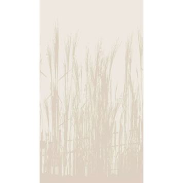 Fototapetti A.S. Creation Stories of Life 39878-1