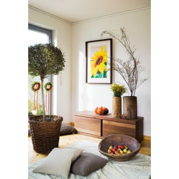 Taulukisko Nielsen Profi 1,5 m Maalattava