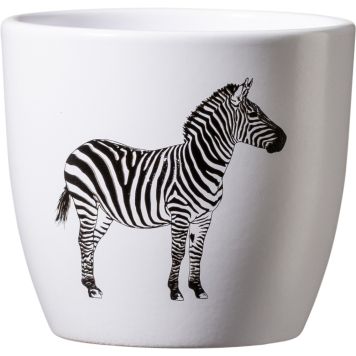 Miniruukku Safari seepra 10 cm