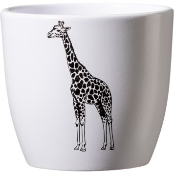 Miniruukku Safari kirahvi 10 cm