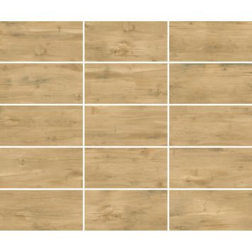 Lattialaatta Ceramiche Serra Dania beige 31 x 62 cm 