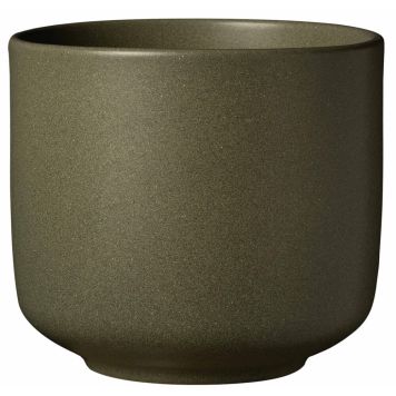 Suojaruukku Soendgen Bari Blossom eukalyptus, eri kokoja