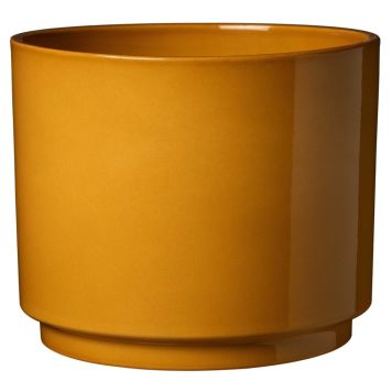 Suojaruukku Soendgen Oslo Seventies okra, eri kokoja