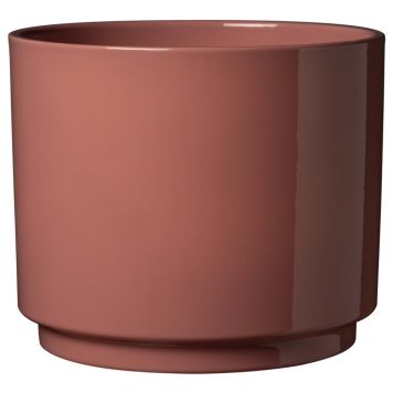 Suojaruukku Soendgen Oslo Seventies litsi, eri kokoja