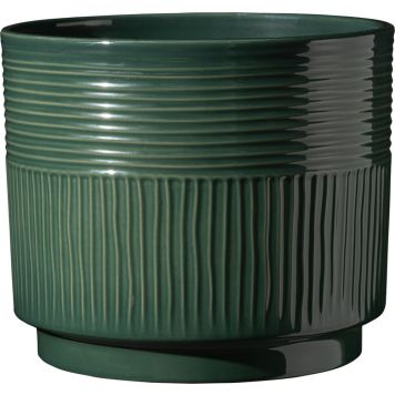 Suojaruukku Soendgen Nara Sabi tummanvihreä 13 cm