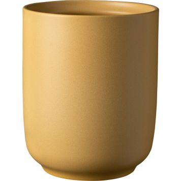 Orkidearuukku Soendgen Bari Blossom keltainen 15 cm