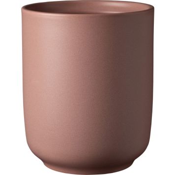 Orkidearuukku Soendgen Bari Blossom kirsikka 15 cm