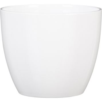 Suojaruukku Soendgen Basel valkoinen 37 cm