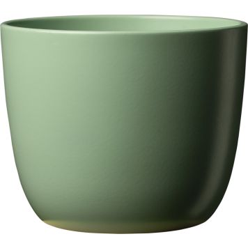 Suojaruukku Sevilla 11 cm vihreä