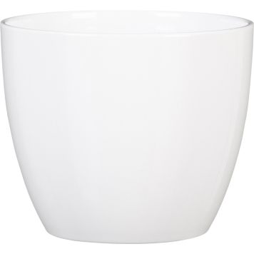 Suojaruukku Soendgen Basel valkoinen 33 cm