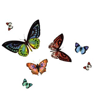 Tabletti D-C-Fix Rio Papilio 29 x 44 cm