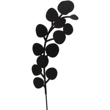 Koristeoksa eucalyptus 40 cm musta lajitelma