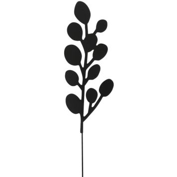 Koristeoksa eucalyptus 50 cm musta lajitelma