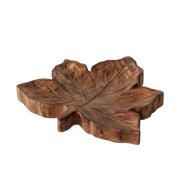 Tarjotin Boltze Lehti Mangopuuta