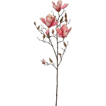 Koristeoksa Magnolia 88 cm pinkki