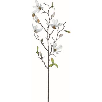 Koristeoksa Magnolia valkoinen 75 cm