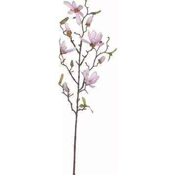 Koristeoksa Magnolia pinkki 75 cm