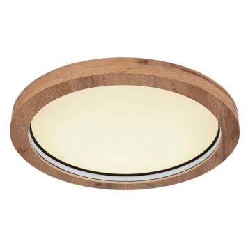 Kattovalaisin Globo Branza RGB Ø 40 cm IP20