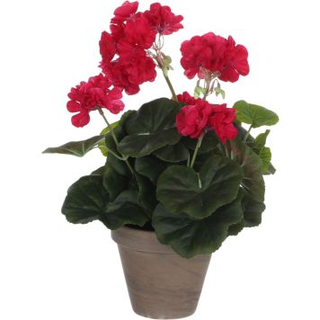 Silkkikasvi pelargonia P11,5 cm tummaroosa