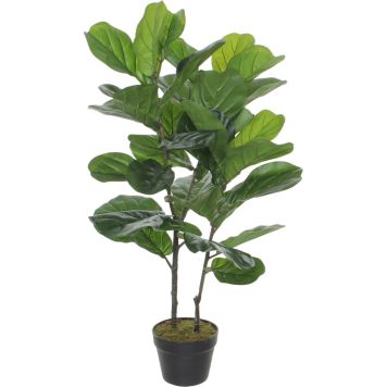 Silkkikasvi Ficus Lyrata 100 cm