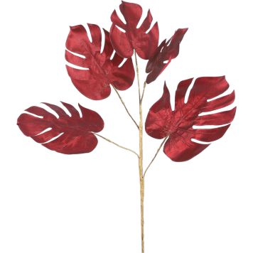 Silkkikasvi Peikonlehti 77 cm punainen