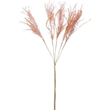 Silkkikasvi Heinä ruskea 76 cm