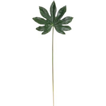 Silkkikasvi Aralian lehti 66 cm