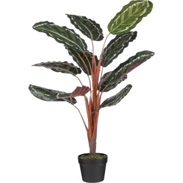 Silkkikasvi isomaija 90 cm