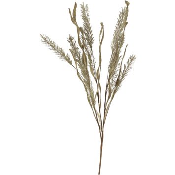 Koristeoksa Erica 60 cm