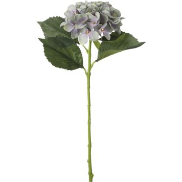 Koristeoksa Hortensia 51 cm sininen