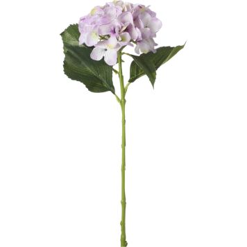 Koristeoksa Hortensia 51 cm liila