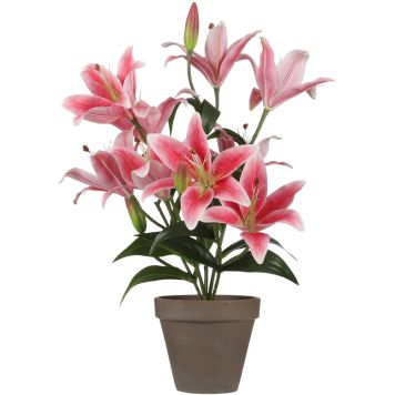Silkkikasvi Tiikerililja 47 cm pinkki