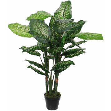 Silkkikasvi Kirjovehka 120 cm