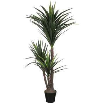 Silkkikasvi Jukkapalmu 3-runkoinen 160 cm