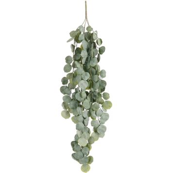 Silkkikasvi Eucalyptus 94 cm