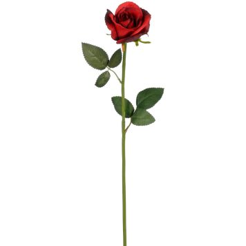 Silkkikasvi Ruusun oksa punainen 62 cm