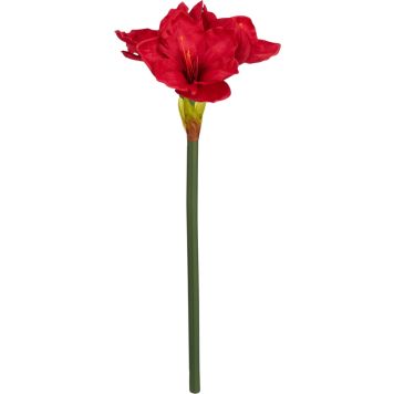 Silkkikasvi Amaryllis punainen 56 cm