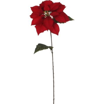 Silkkikasvi Joulutähti 71 cm punainen
