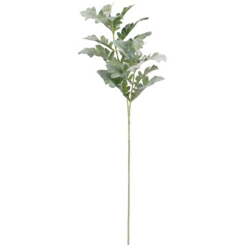 Silkkikasvi Villakko vihreä 74 cm