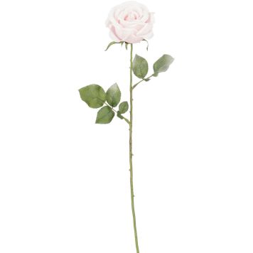 Silkkikasvi Ruusu pinkki 64 cm