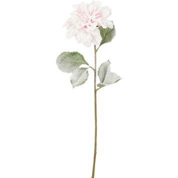 Silkkikasvi Daalia vaaleanpunainen 69 cm