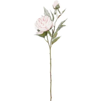 Silkkikasvi Pioni pinkki 70 cm