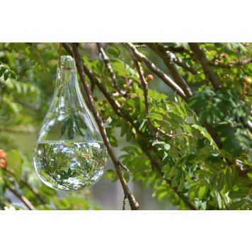 Kärpäskarkotin lasipisara